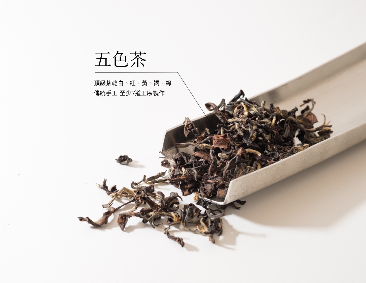 茶葉細節